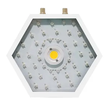 

Plants LED Grow Light Full Spectrum 1000W Double Chip Red/Blue/UV/IR Hexagonal Angle Light For Indoor Plants VEG BLOOM
