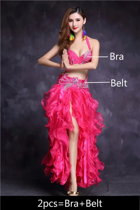 Rose Red 2pcs Костюм для танца живота набор для женщин юбка для танца живота Восточный Болливуд для взрослых египетская индийская танцевальная одежда высокого качества - Цвет: Rose Red 2pcs