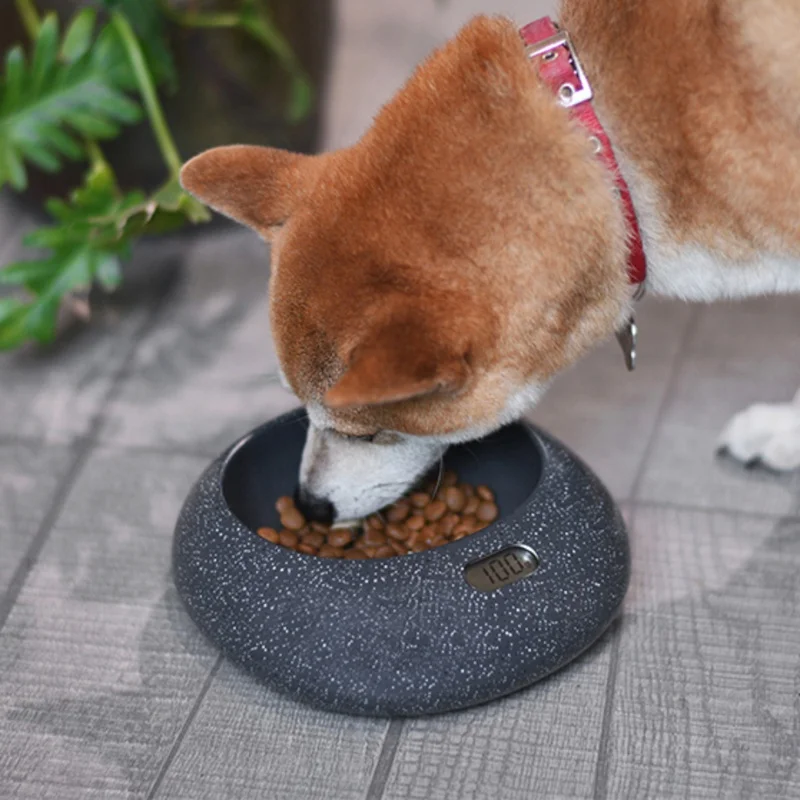 

Smart Pet ABS Electronic Feeders For Dog And Cat Food Dispenser With Weight Control Function dog food dispenser 2020