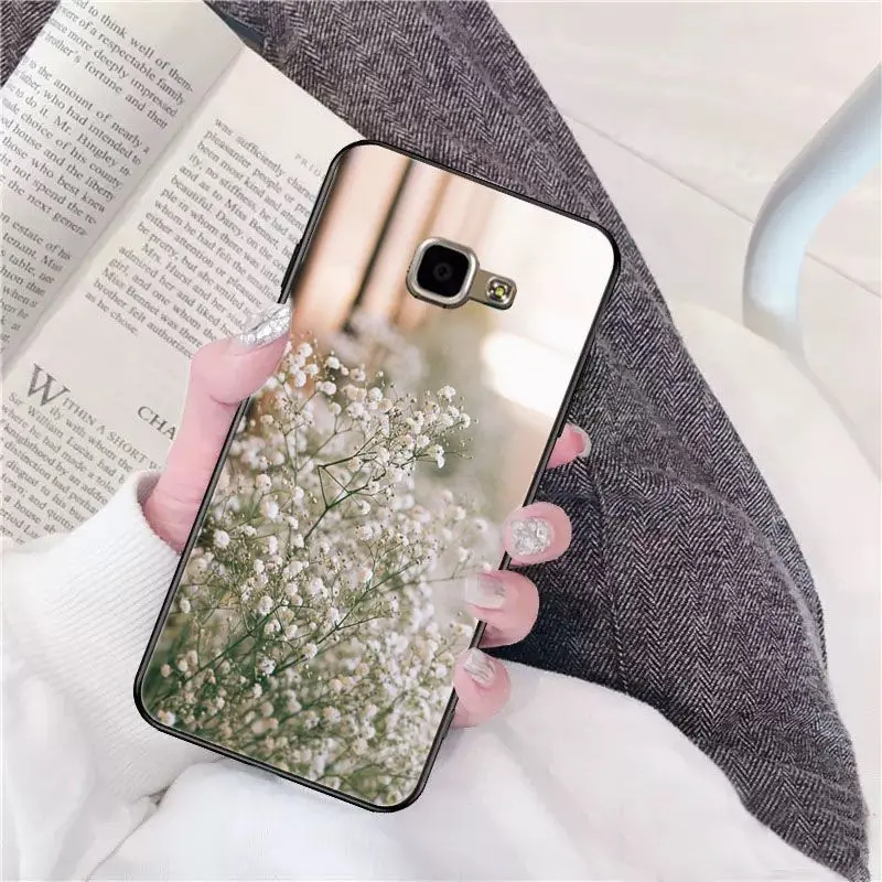 Beautiful flower Gypsophila