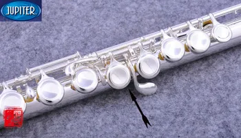 Taiwán-flauta de 16 agujeros con llave de JFL-700E, cuproníquel Silvering flauta transversal, caja de instrumentos musicales