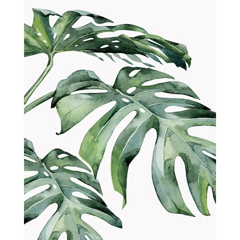 3512叶子系列（一）