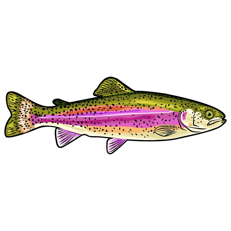 

13cm x 5cm for Rainbow Trout Fish Car Stickers Trunk Motorcycle Decal Laptop RV Campervan Waterproof Sticker Decor