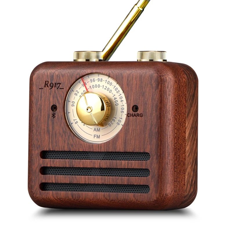 Цифровой FM радиоприемник AM цифровой интернет Портативный мини Bluetooth динамик