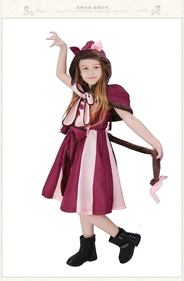 4548578325_1734513592