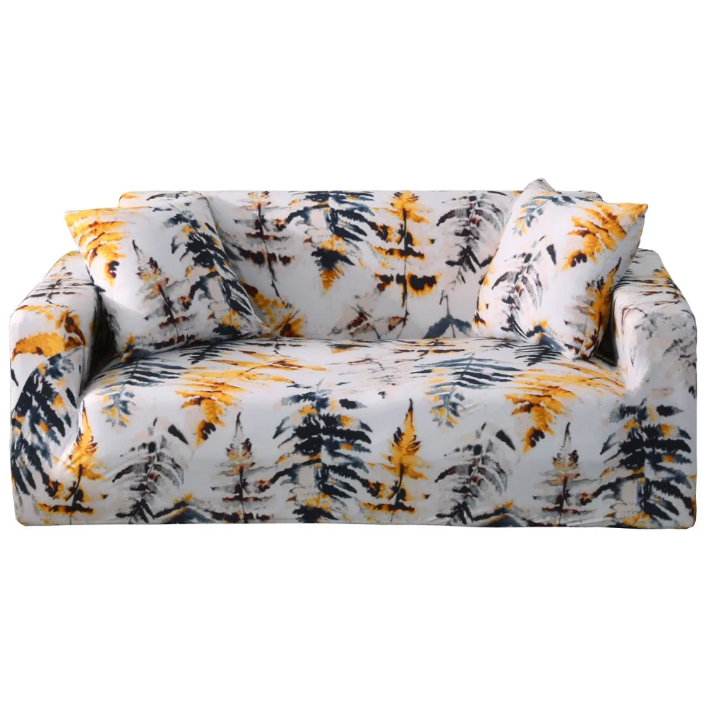 11109549260_920131939