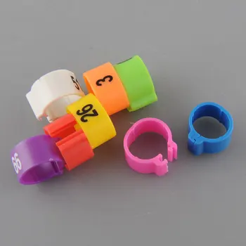 

100Pcs Poultry Leg Bird Pigeon Parrot Chicks Duck Hen Rings Clip 1-100 Numbered