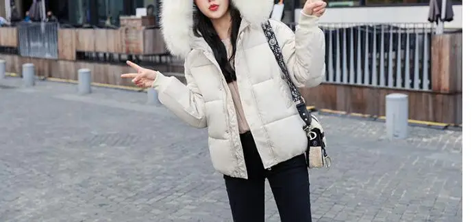 2022 Winter Hooded Parkas Women Big Fake Fur Down Cotton Jacket Coat Ladies Warm Loose Cotton Padded Coats Female Short Overcoat