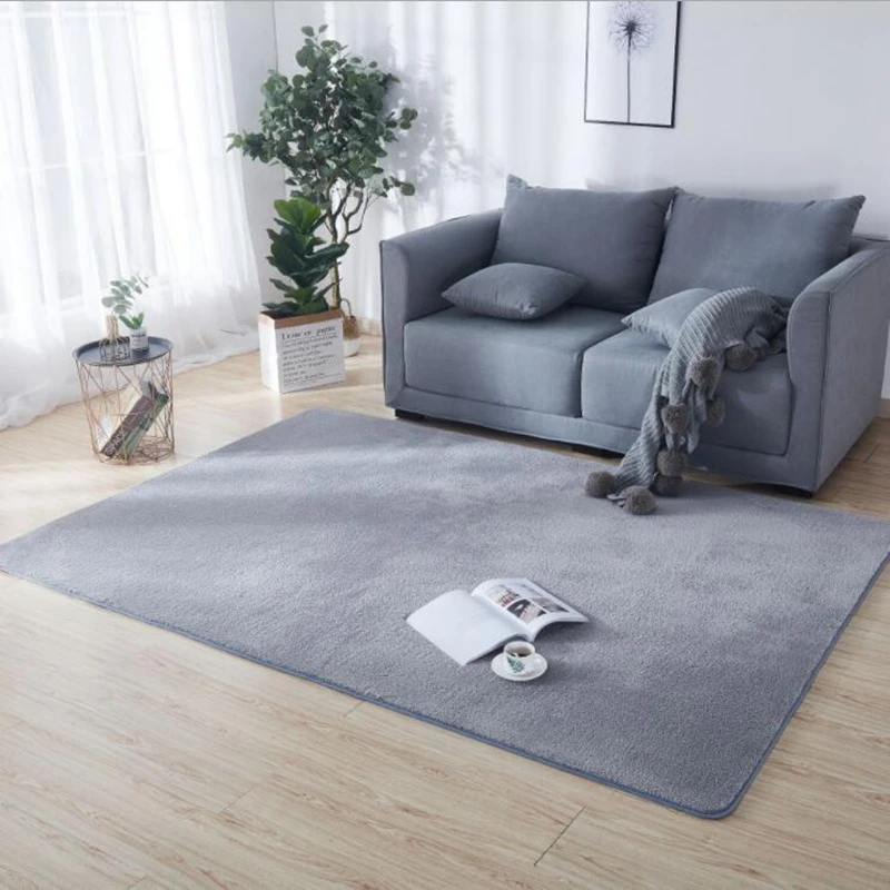 

High Quality Thick Super Soft Plush Carpet Living Bedroom Entrance Door Rug Kitchen Bathroom Water Absorption Non-slip Foot Mat