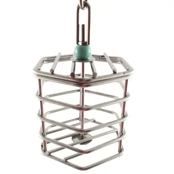 

Squirrel Bird Parrot Food Foraging Cage Thick Durable Stainless Steel Life Toy 517E