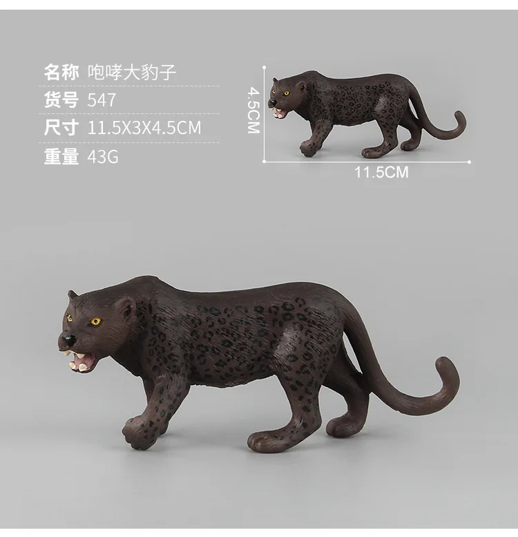 9109427309_1793268619