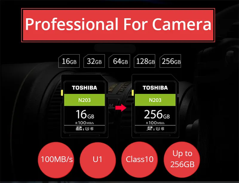 TOSHIBA 32 GB SD карта 64 GB карта памяти U1 Class10 UHS-I SDHC SDXC 256 GB карта памяти 128 ГБ full HD для цифровых Камера/SLR 100 МБ/с