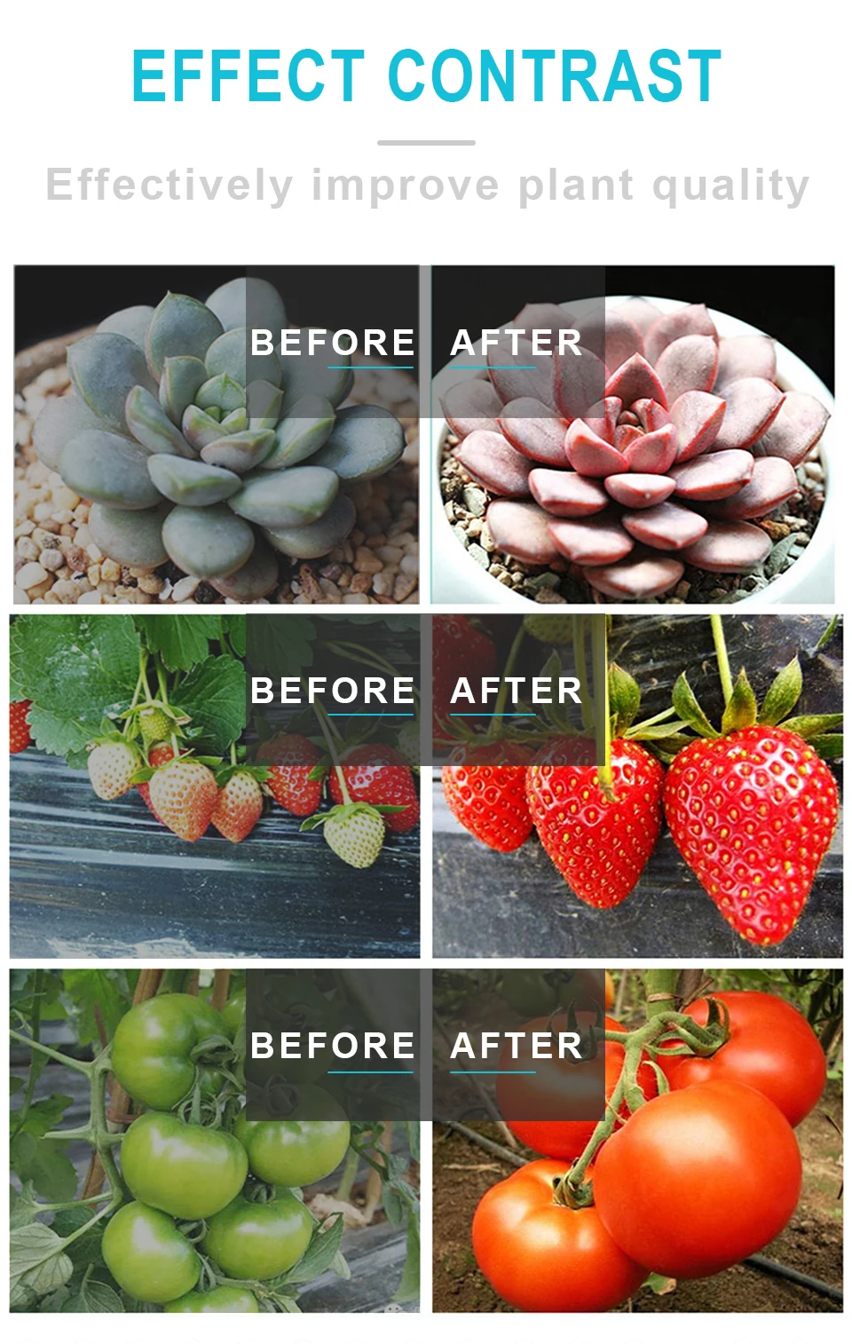 3pcs Growth Lamp For Plant 1000W Led Grow Light Full Spectrum Phyto Lamp For Indoor Herbs Greenhouse Grow Tent Garden Grow Light (11)