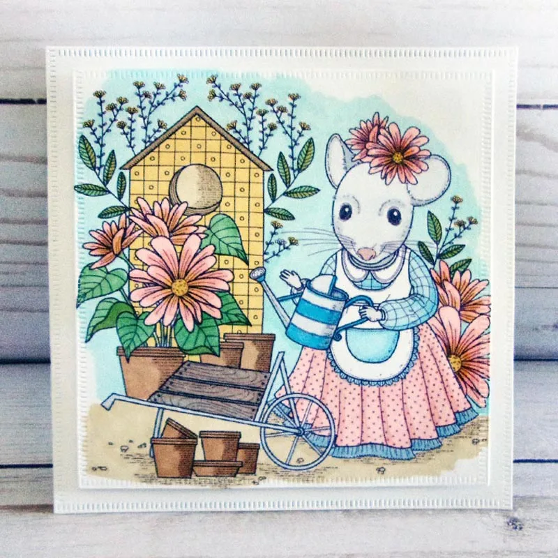 dashing square sharon.