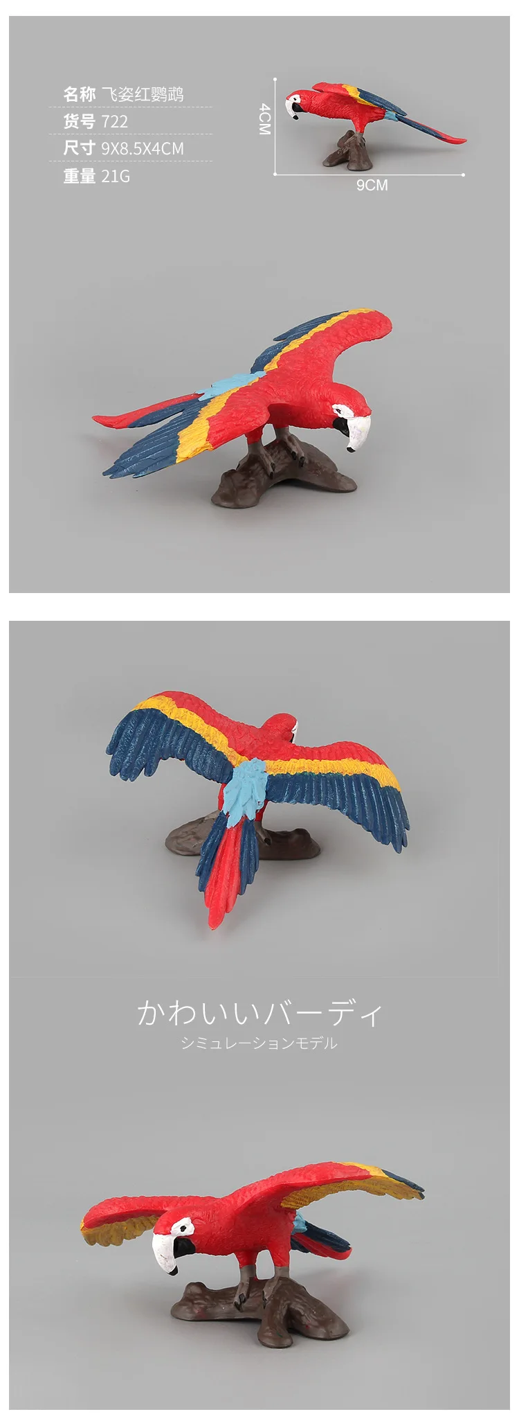 9088007940_1793268619