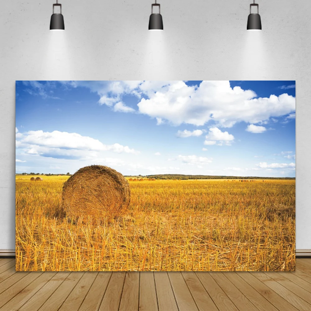

Laeacco Autumn Rural Farm Round Haystack Bulk Cloudy Blue Sky Natural Scenic Photographic Background Photo Backdrop Photocall