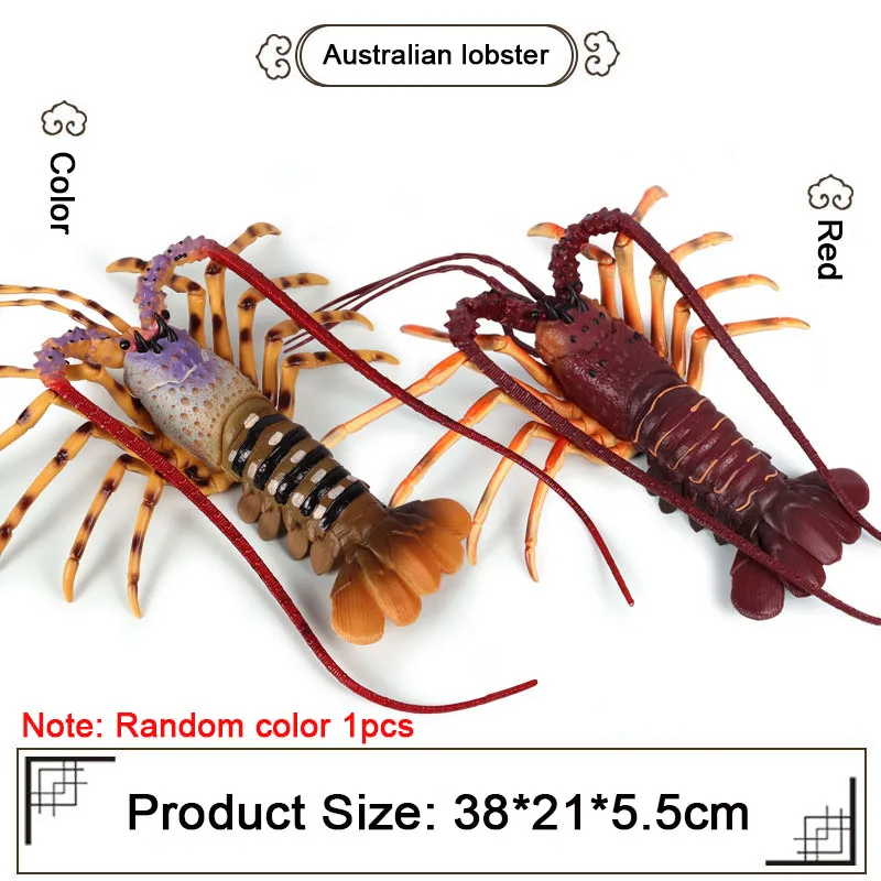 Имитационная твердая Океаническая и морская жизнь, модель животного, Акула, Кит, осьминог, дельфин, фигурки, Детская образовательная коллекция, подарок - Цвет: Australian lobster