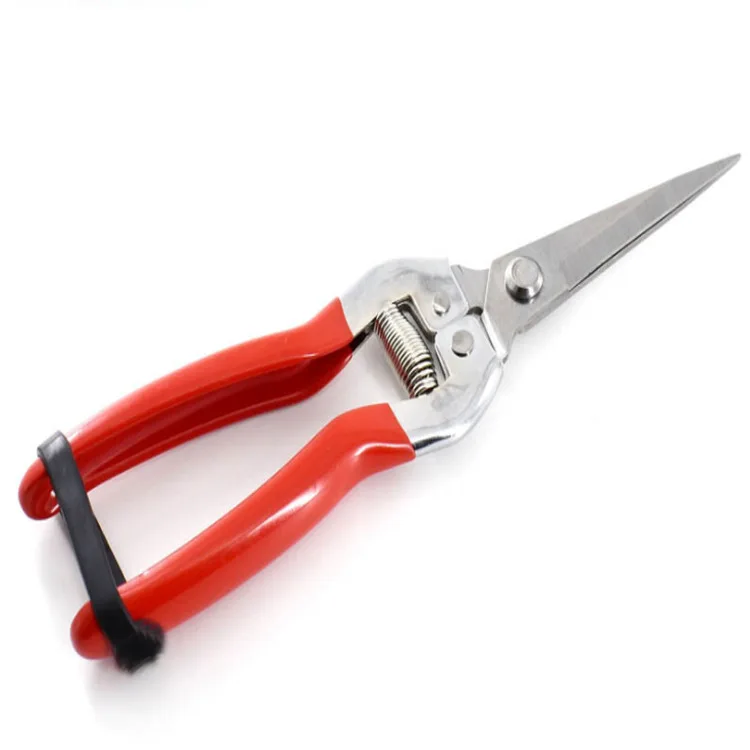 Manufacturers Direct Selling Stainless Steel Pruning Shears Picking Scissors xi guo jian Horticulture Garden Vigorously And Larg