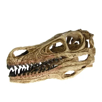 

[MGT] High Precision Teaching Model Dinosaur Skull Model Velociraptor Fossil Resin Skull Dinosaur Polystone Statue Skeleton