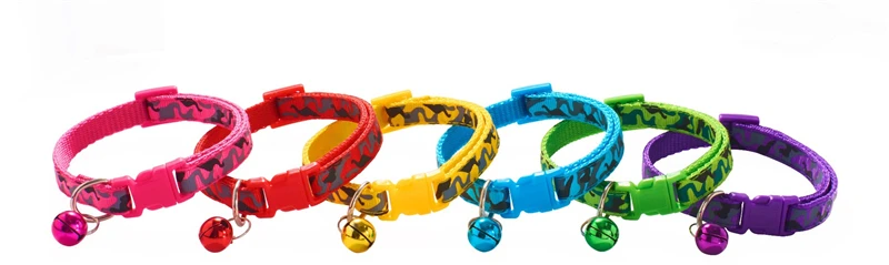 16365138392_1295703088