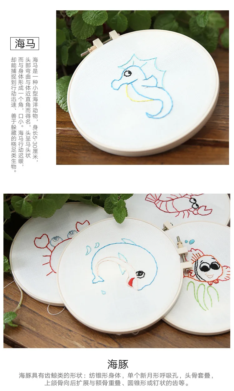 10557668962_2001160281