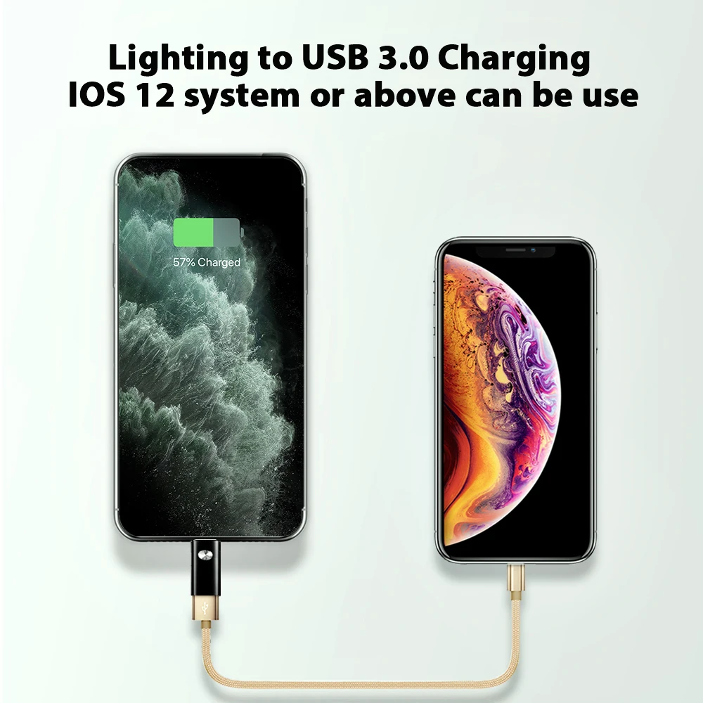 ACCEZZ USB OTG адаптер для iPhone 11 Pro Max XS для iOS 13 планшет камера ноутбук разъем для клавиатуры Освещение USB 3,0 адаптер