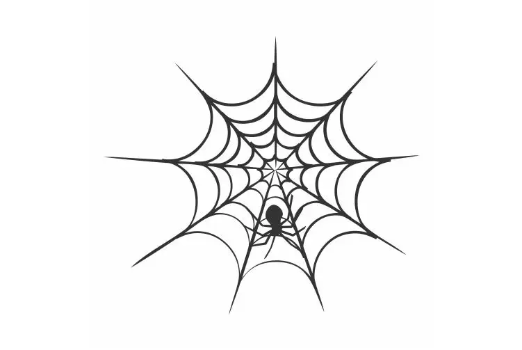 Hardworking Little Spider Is Weaving A Huge Net Car Decals Car Door And hardworking-little-spider-is-weaving-a-huge-net-car-decals-car-door-and