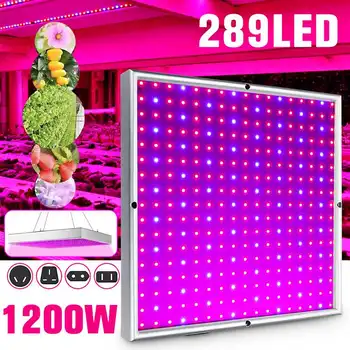 

1000W Growing Lamps LED Grow Light 289 LEDS Full Spectrum for Greenhouse Indoor Hydroponic Plant Seedling Flower High Yield