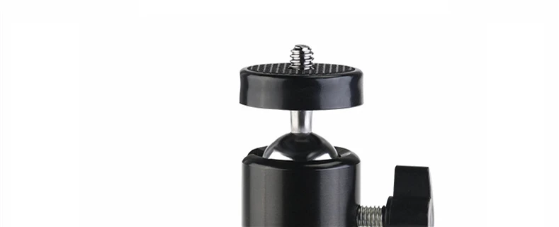 21438505490_1177831017