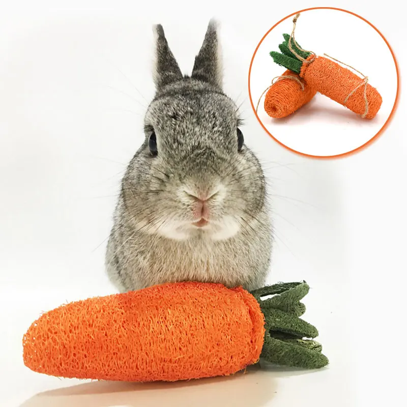 

Hamster Molar Chew Toys Rabbit Accessories Carrot Shaped Pet Stuff for Small Animals Guinea Pig Bite Resistant Toys Dropshipping