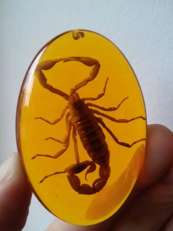 

amber scorpion necklace pendant+Free Chain