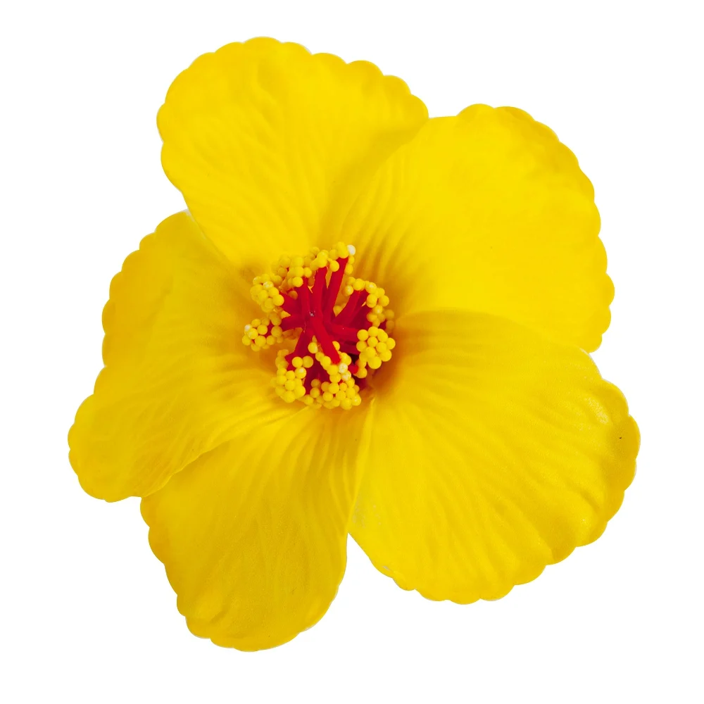 Плюмерия цветок гибискуса 6 шт. заколки для волос Гавайский цветок 3,6 дюймов для особых случаев Свадебные пляжные вечерние украшения