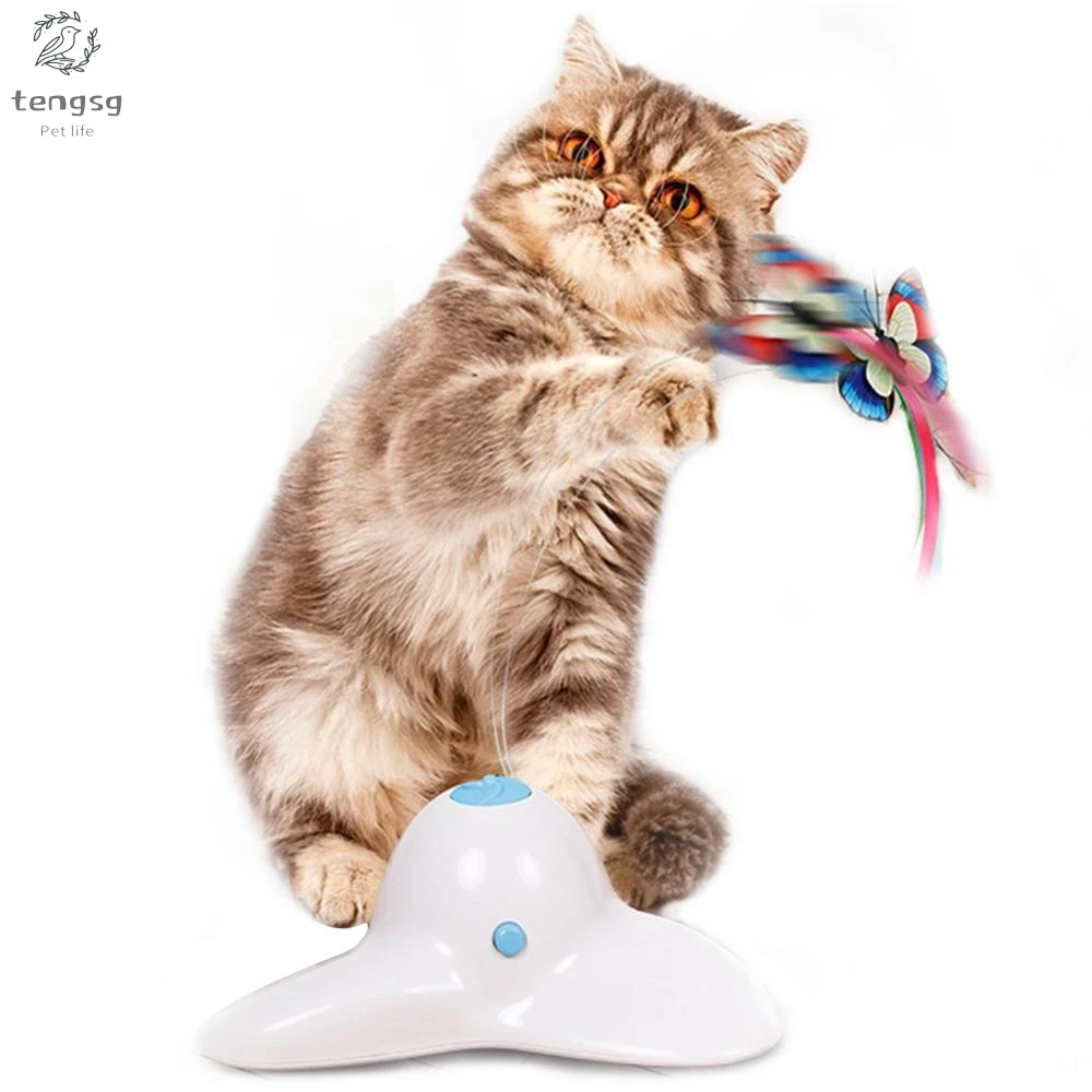 

Electric rotating colorful butterfly dog trainning funny cat toys pet birds toy cat kitten dog cat scratch