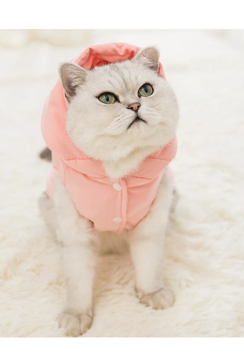 Одежда с котенком, платье, синий кот, ничего, шерсть, кошка, сохраняет тепло, уплотненный жилет, одежда с хлопковой подкладкой, одежда и аксессуары для домашних животных, кошек
