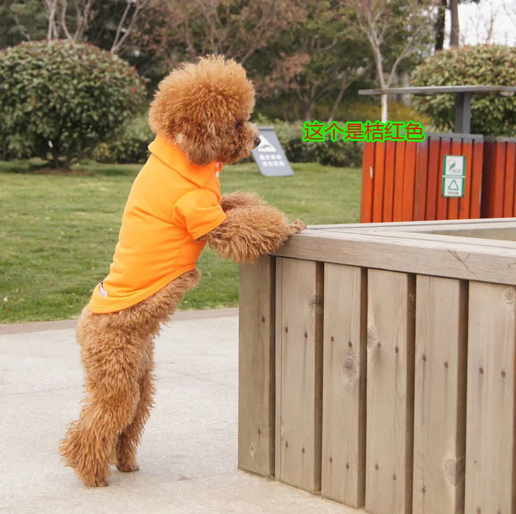 Одежда с принтом в виде собак; сезон весна-лето домашнее животное поло рубашка с рисунком «собаки» Pet рубашка Тедди для питомца для собаки