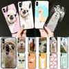 Mobile Phone Accessories
