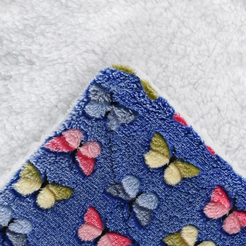 11318062183_1805383331