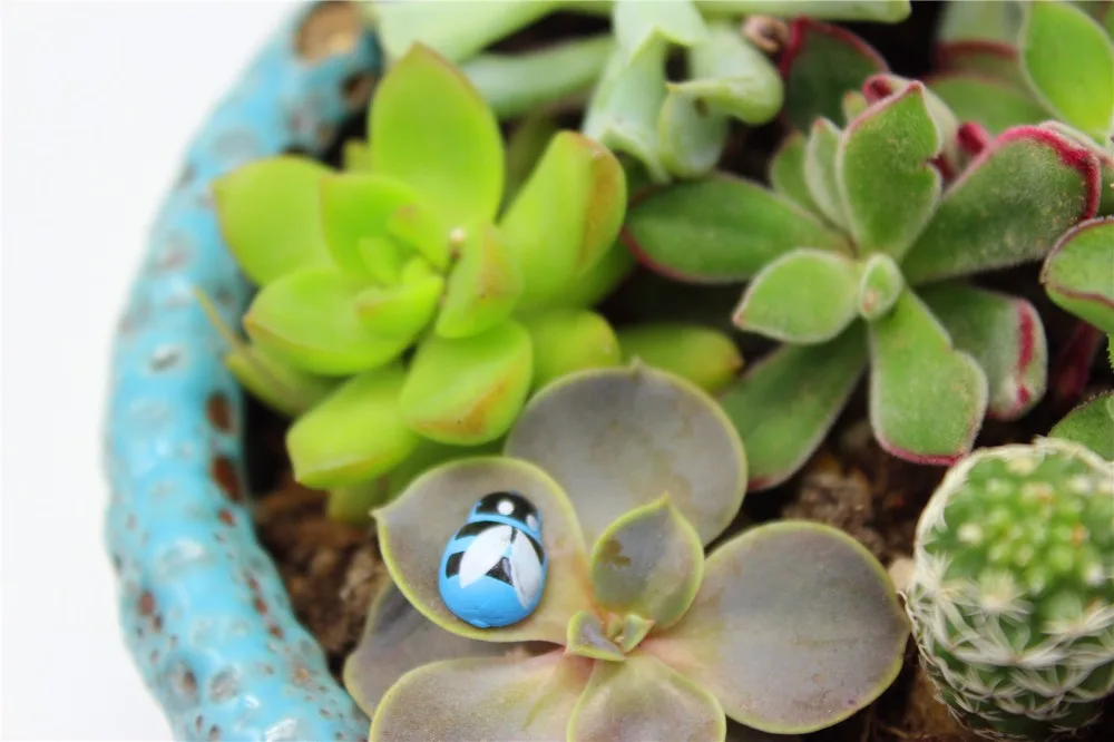 4008128493_857642845