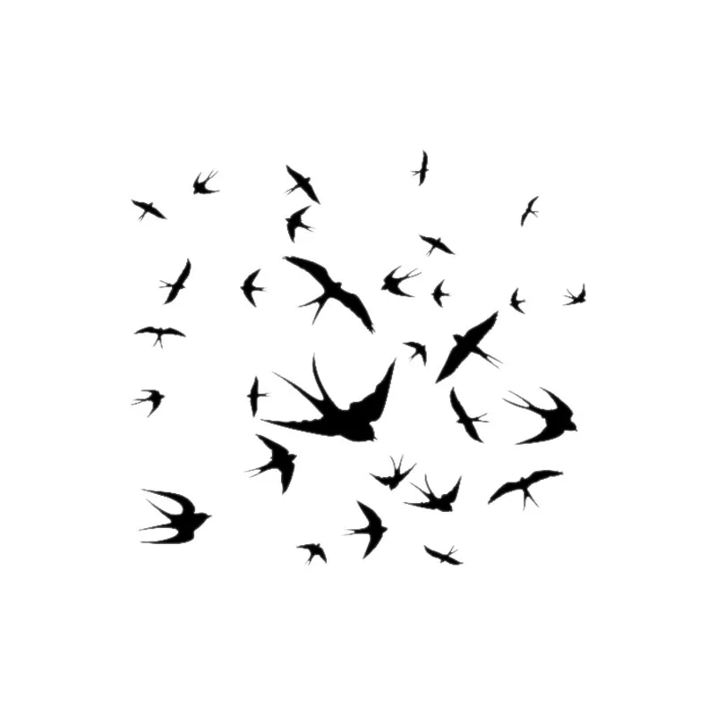 74 Gambar Burung Walet Kartun HD