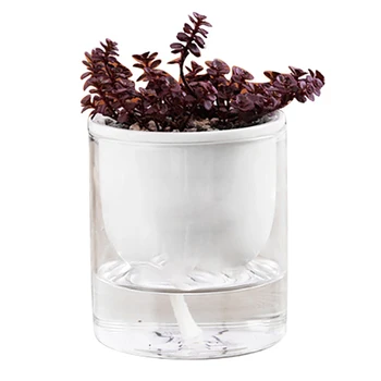 

10 * 12cm Plant Pots Self-absorbent Clear Self Watering Plants Flowers