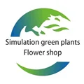 Simulation of green plants and flowers shop Store