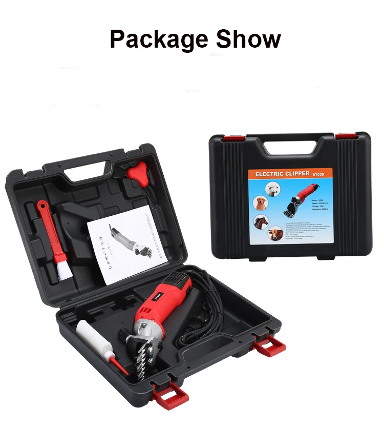 3929013889_1062462387