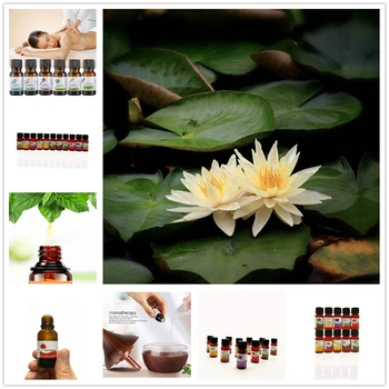 

Flower Essential Oils for Humidifier Relieve Stress Pomegranate Flowers Aromatherapy Diffusers Skin Care Essential Oil TSLM1