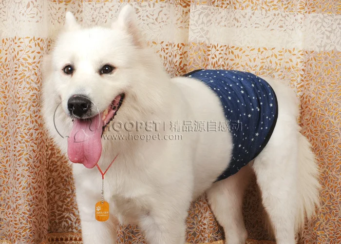 Pet Physiological with Menstrual Panties Male Dog Menstrual Panties Diaper Golden Retriever Menstrual Panties Satsuma Men's Dog