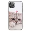 Mobile Phone Accessories