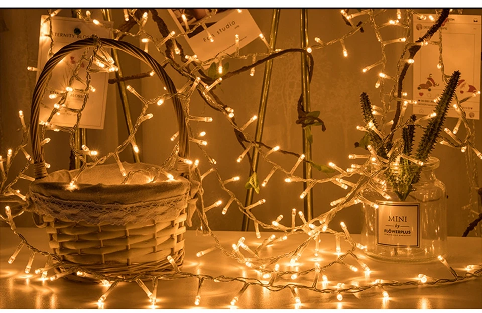 11663649750_1004327868