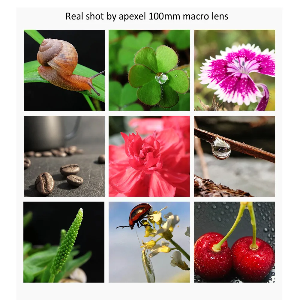 Apexel-lente de Câmera Macro para Todos os Smartphones Macro 4k hd Lentes de Filmadora Cpl Star Filter Iphone Samsung 100 mm - Image 2