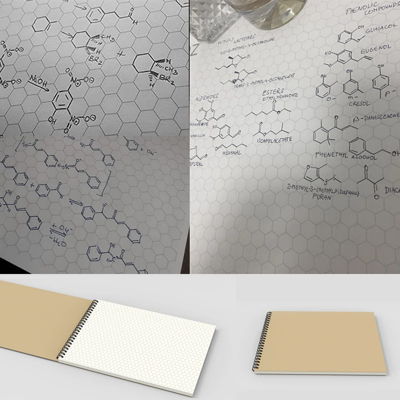 Organic Chemistry: Hexagonal Graph Paper Notebook, 100 pages, for Chemistry and Biochemistry Students Paperback