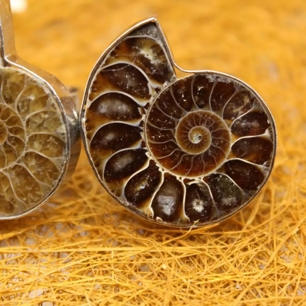 

12pcs Irregular Random Shape Natural Ammonites Stone Conch Shell Handmade Brown Snail Treat Rings for Women Fashion Jewelry Free