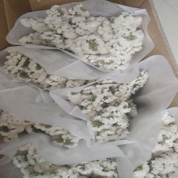 

200g/1000g White DIY Dried Forgetmenot Flower Bouquet Wedding Party Pure natural plant Home Garden decoration